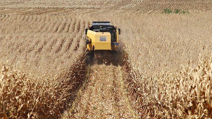 Hububat, baklagil ve dane mısır desteği ne zaman verilecek? Üretici desteği ne zaman yatacak? G2