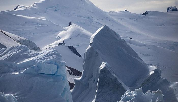 Antarktika'da gizemli keşif! Nasıl yaşadığı merak ediliyor