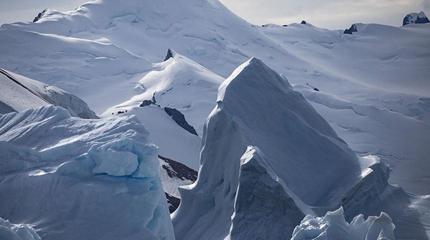 Antarktika'da gizemli keşif! Nasıl yaşadığı merak ediliyor