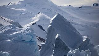 Antarktika'da gizemli keşif! Nasıl yaşadığı merak ediliyor