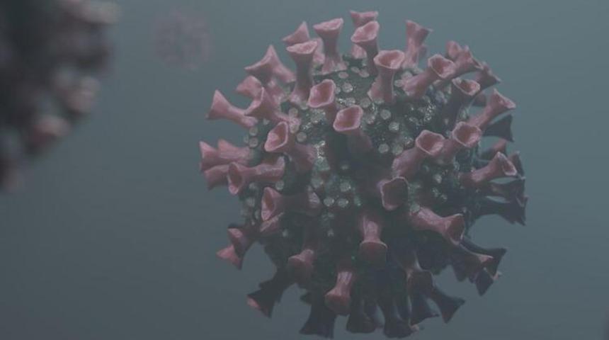 Sinop Sağlık Müdürlüğü’nden ‘Delta Plus varyantı’ açıklaması