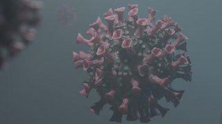 Sinop Sağlık Müdürlüğü’nden ‘Delta Plus varyantı’ açıklaması