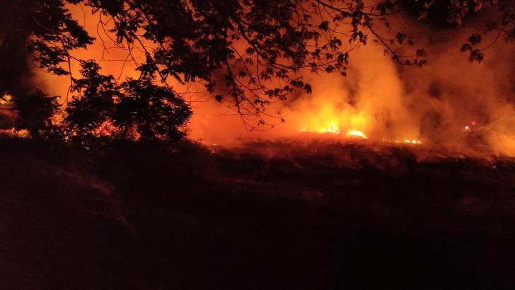 Yürekler ağza geldi! Düğünde atılan havai fişek sazlık alanı yaktı G2