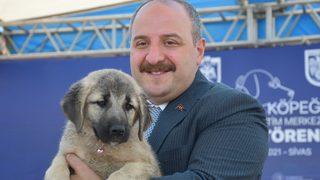 Bakan Varank, Sivas kangal köpeğinin ırkını koruyacak merkezin açılışını yaptı