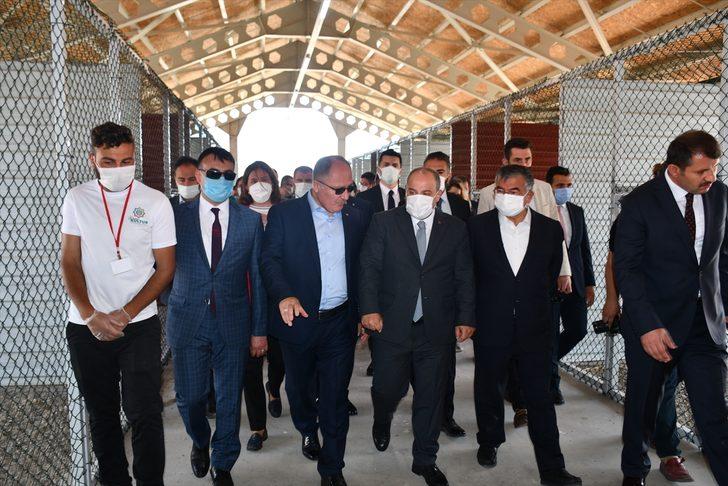 Bakan Varank, Sivas kangal köpeğinin ırkını koruyacak merkezin açılışını yaptı G2