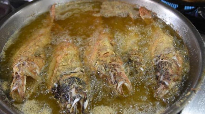 Aslan balığını sofraya getirecek araştırma