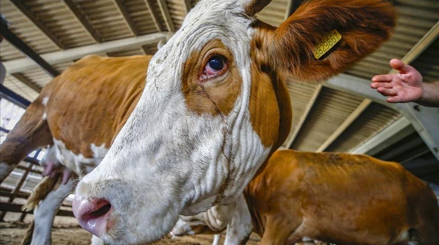 Kurban bayramına kaç gün kaldı? Bayram hangi gün? 2021 bayram ne zaman başlıyor, ne zaman bitiyor?