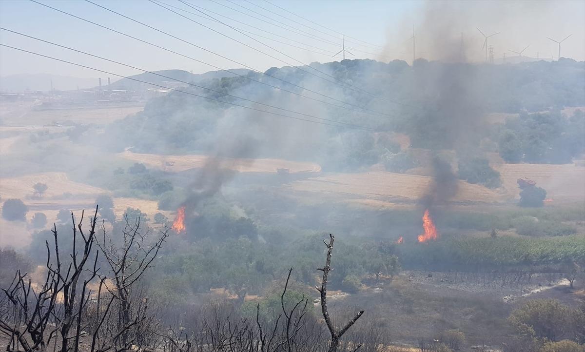 G&Uuml;NCELLEME - İzmir'in Aliağa il&ccedil;esinde bir limanın yakınındaki ağa&ccedil;landırma sahasında yangın &ccedil;ıktı