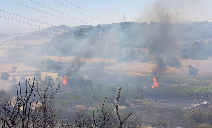GÜNCELLEME - İzmir'in Aliağa ilçesinde bir limanın yakınındaki ağaçlandırma sahasında yangın çıktı G1