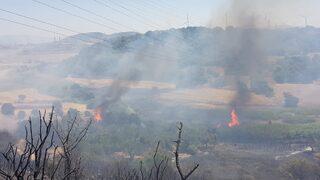 GÜNCELLEME - İzmir'in Aliağa ilçesinde bir limanın yakınındaki ağaçlandırma sahasında yangın çıktı