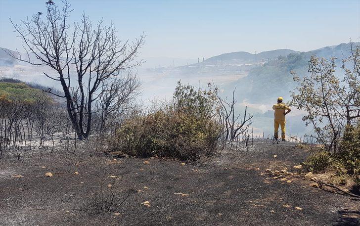 GÜNCELLEME - İzmir'in Aliağa ilçesinde bir limanın yakınındaki ağaçlandırma sahasında yangın çıktı G2