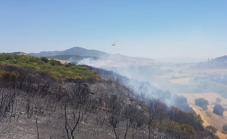 GÜNCELLEME - İzmir'in Aliağa ilçesinde bir limanın yakınındaki ağaçlandırma sahasında yangın çıktı G3