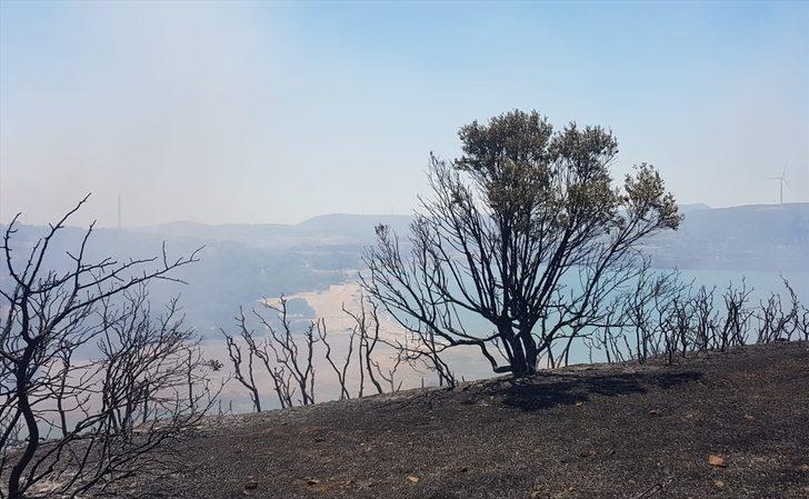 GÜNCELLEME - İzmir'in Aliağa ilçesinde bir limanın yakınındaki ağaçlandırma sahasında yangın çıktı G4