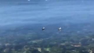 Sevindiren haberi Bakan Kurum verdi: Görünmeye başladı