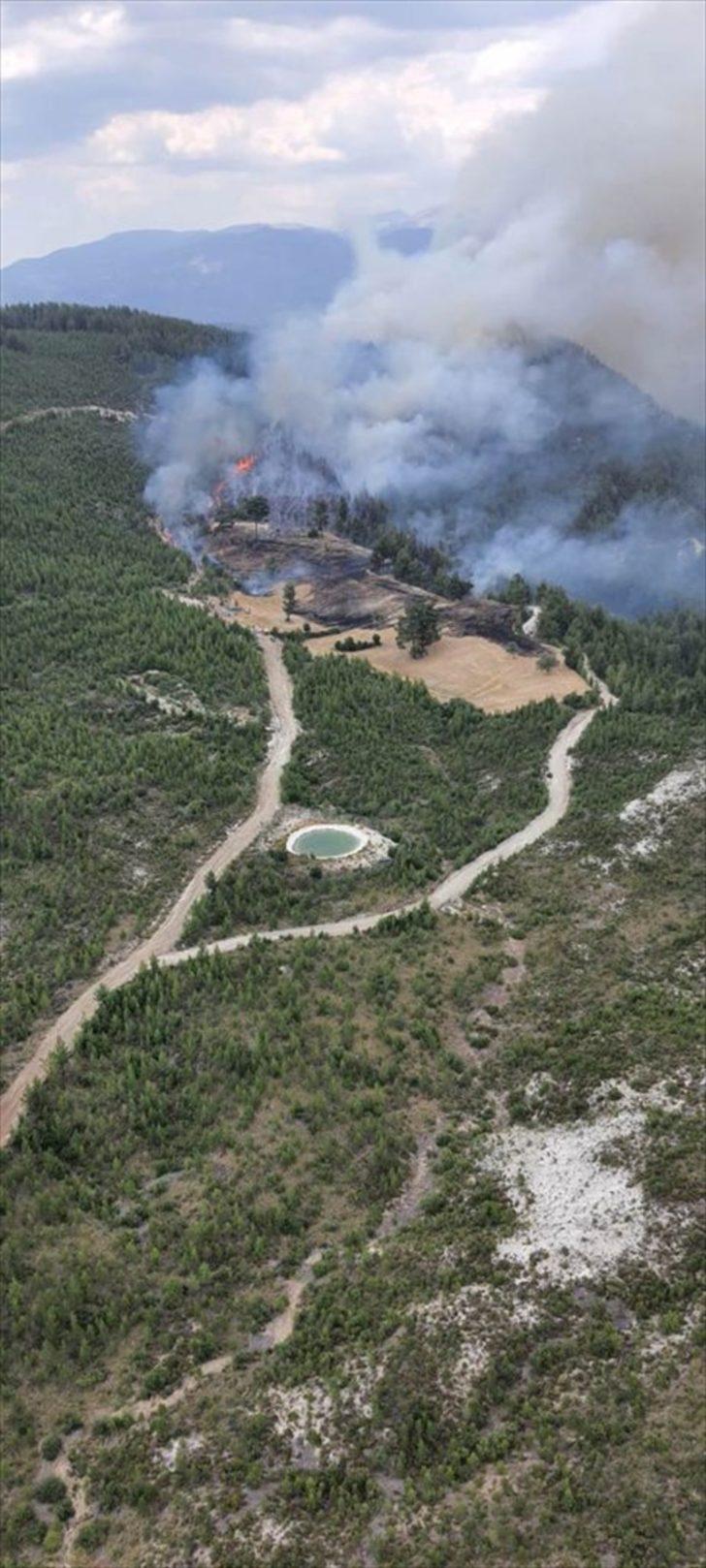 Denizli'nin Acıpayam ilçesinde orman yangını çıktı G1