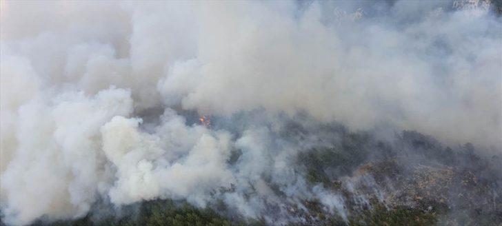 Denizli'nin Acıpayam ilçesinde orman yangını çıktı G2