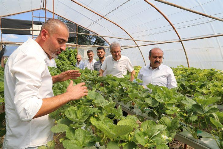 Tarım ve Orman Bakan Yardımcısı Metin'den ata tohumlarının bakanlığa ulaştırılması çağrısı: G3