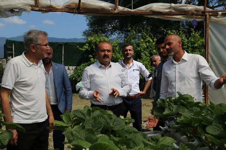 Tarım ve Orman Bakan Yardımcısı Metin'den ata tohumlarının bakanlığa ulaştırılması çağrısı: G4