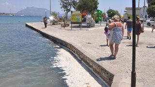 Datça sahilinde endişelendiren görüntü