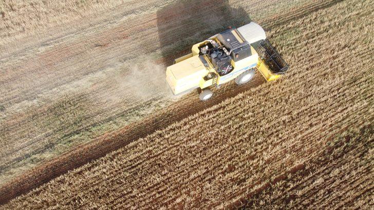 Konya Ovası'nda hububatta buruk sezon G1