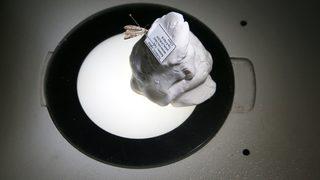 Nemrut Kalderası'nda yeni güve türü keşfedildi