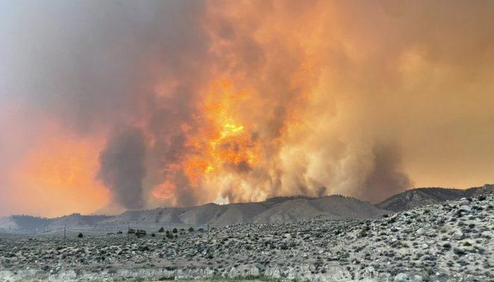 Sıcak hava dalgasının etkilediği ABD'de çok sayıda orman yangını