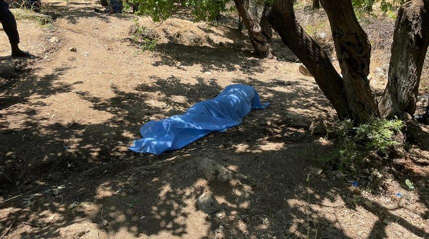Hatay'da bir kişi kayısı bahçesinde ölü bulundu
