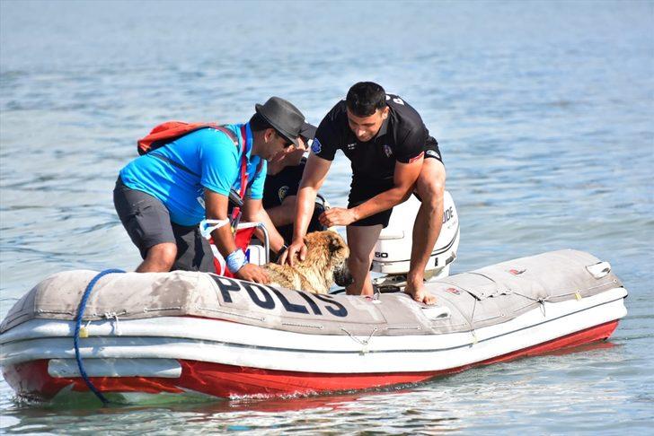 Ordu Oral-B Triatlonu sona erdi G2