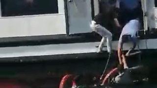 Üsküdar’da vapurdan denize düşen kadını vatandaşlar kurtardı
