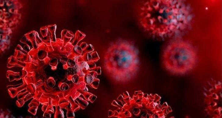 20 Ağustos 2021 Türkiye günlük koronavirüs vaka tablosu açıklandı mı? İşte 20 Ağustos günlük vaka sayısı... G1