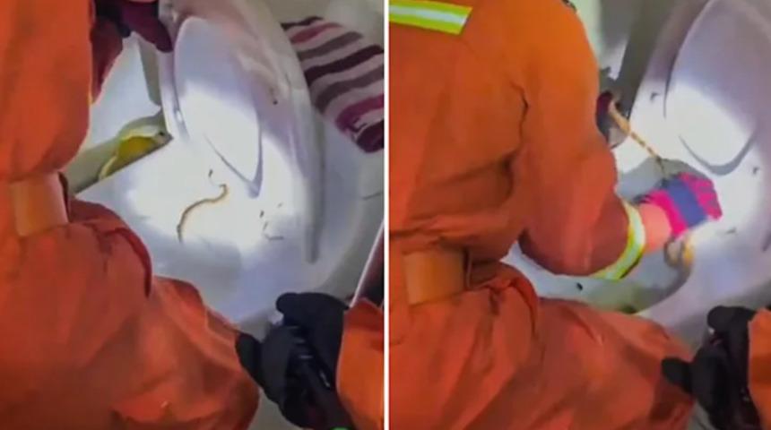 Çin'de kaybolan yılan 6 ay sonra ortaya çıktı: Her yerde onu arıyordum