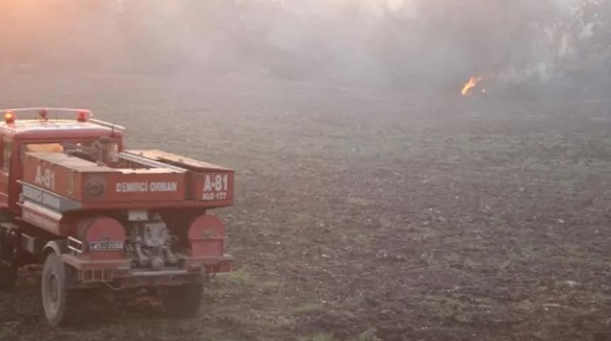 Manisa Kula'da 6 farklı noktada orman yangını