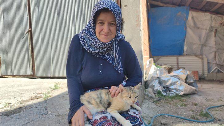 Amasya'da su kuyusuna düşen kedi yavrusu AFAD ve itfaiye ekiplerince çıkarıldı