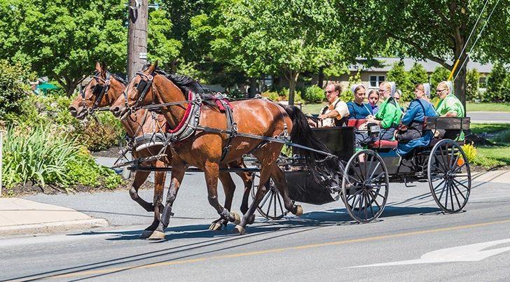 Teknolojiyi tamamen reddediyorlar! Zamanı durduran ilginç kabile: Mennonitler G5