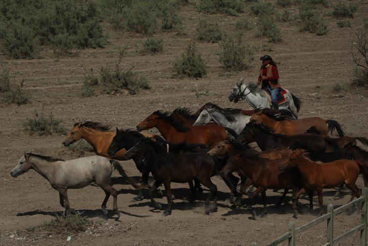 TBMM Küresel İklim Değişikliği Araştırma Komisyonu, Sultan Sazlığı'nda inceleme yaptı G1