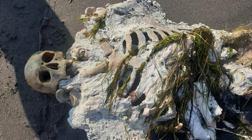 Yürüyüş yapan vatandaşlar fark etti! Samsun'da sahile insan iskeleti vurdu