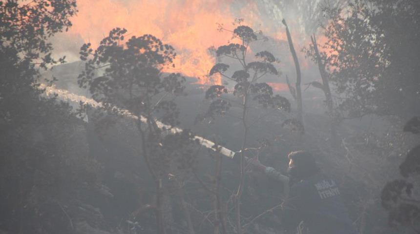 Bodrum’da korkutan yangın