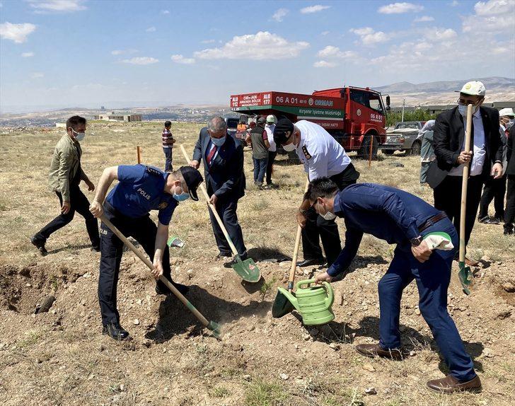 Kırşehir'de 15 Temmuz şehitlerinin hatıraları ormanda yeşerecek G3