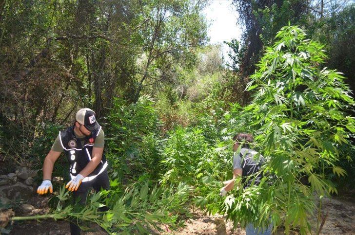 Muğla'da uyuşturucu operasyonunda polise ateş eden şüpheli ile eşi gözaltına alındı G2