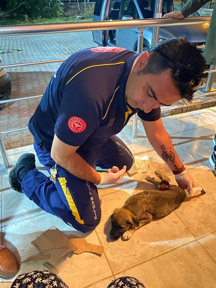 Afyonkarahisar'da 112 ekibi, yaralı köpeğin yardımına koştu G2