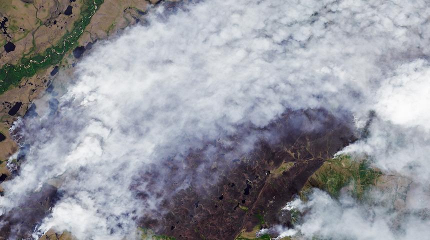 Kanada ve ABD'nin ardından Rusya'da da orman yangınları başladı