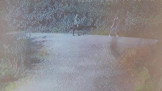 Genç kıza cinsel istismara kalkışıp başına taşla vurdu