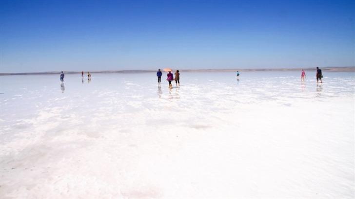 Tuz Gölü nerede bulunuyor? Flamingo ölümleriyle gündeme gelen Tuz Gölü hangi ilde ve özellikleri neler? G4