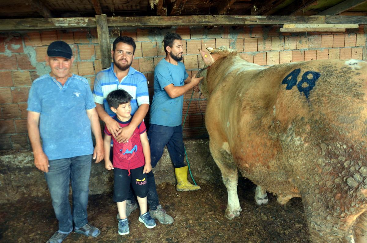 Avcılar Kaymakamlığı'na 3 tosun ve 150 k&uuml;&ccedil;&uuml;k baş bağışlandı