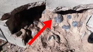 ABD'li adamın şaşkına çeviren keşfi! Evine tadilat yaparken buldu: Tam 160 tane 