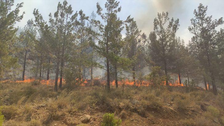 GÜNCELLEME - Mersin'de çıkan orman yangınına havadan ve karadan müdahale ediliyor G1