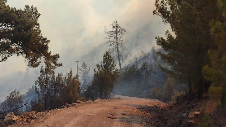 GÜNCELLEME - Mersin'de çıkan orman yangınına havadan ve karadan müdahale ediliyor G2