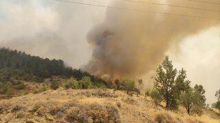 GÜNCELLEME 2 - Mersin'de çıkan orman yangınına havadan ve karadan müdahale ediliyor