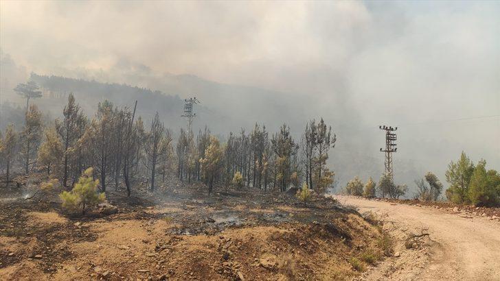 GÜNCELLEME 2 - Mersin'de çıkan orman yangınına havadan ve karadan müdahale ediliyor G3