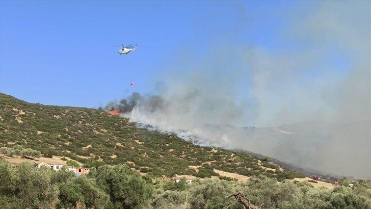 Aydın'da makilik alanda çıkan yangına müdahale ediliyor G2